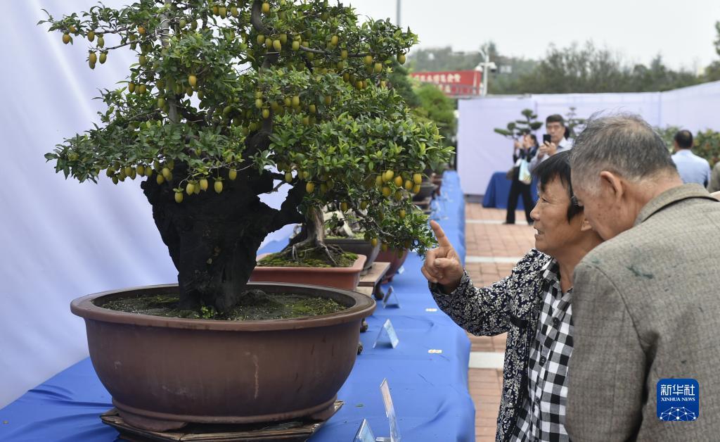 钱柜qg777手机官网